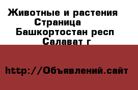  Животные и растения - Страница 10 . Башкортостан респ.,Салават г.